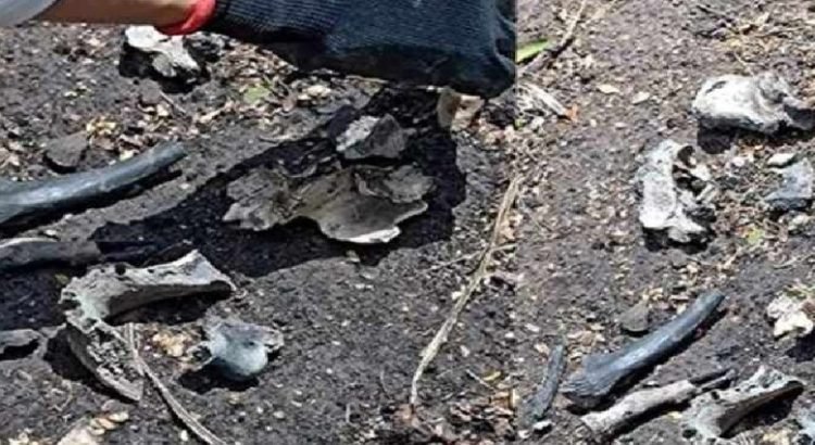 Restos calcinados humanos en brecha de Reynosa