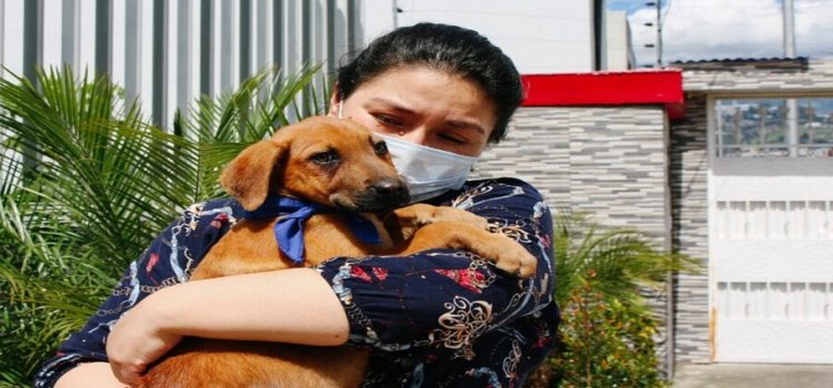Listo el programa de adopción animal del Gobierno de Reynosa para crear conciencia en ciudadanía