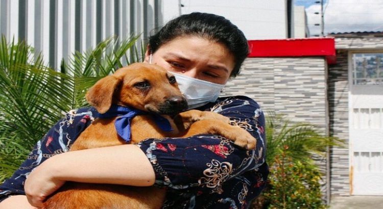 Listo el programa de adopción animal del Gobierno de Reynosa para crear conciencia en ciudadanía