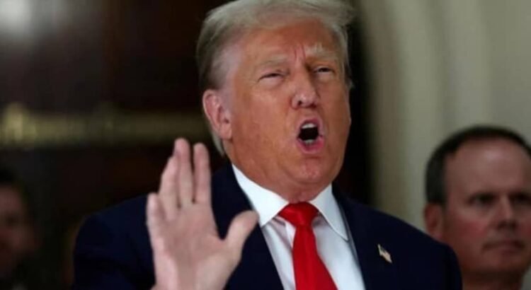 Trump designa a los cárteles de las drogas como «organizaciones terroristas»