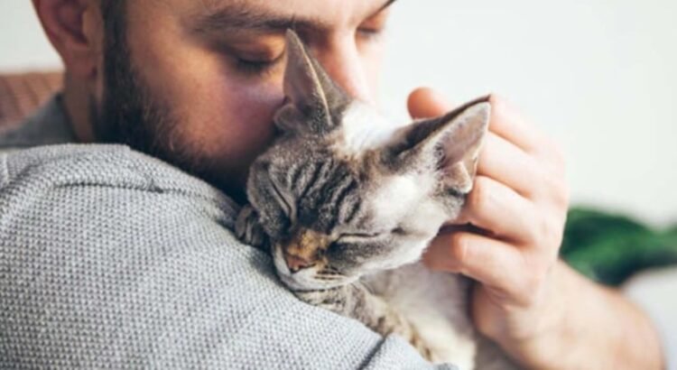 Mujer demandó a su marido por crueldad… prefería al gato que a ella Mujer demandó a su marido por crueldad… prefería al gato que a ella