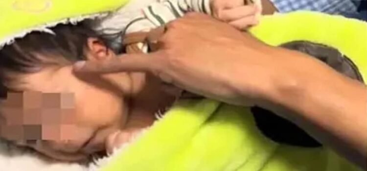 Mamá llama a su bebé “Aguacate”