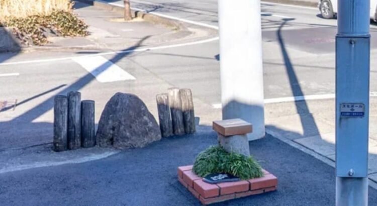 Japón rompe récord mundial con el parque más pequeño del mundo Japón rompe récord mundial con el parque más pequeño del mundo