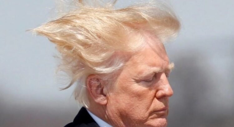 Trump firma decreto para aumentar… la presión de las regaderas Trump firma decreto para aumentar… la presión de las regaderas