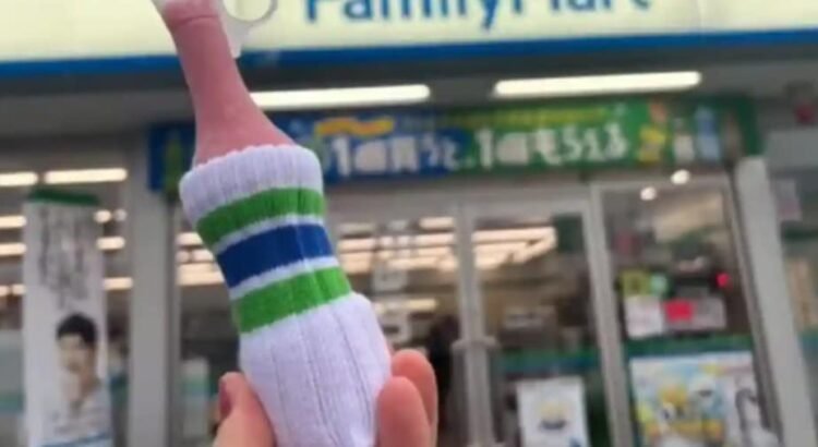 Lanzan en Japón mini calcetas para helado