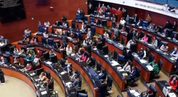 Aprueba el Senado nueva CURP biométrica