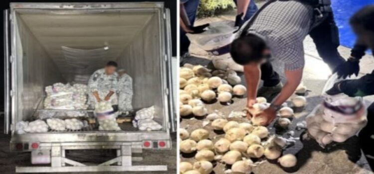 En el estado de Tamaulipas aseguran más de media tonelada de metanfetamina oculta en tarimas con piedra