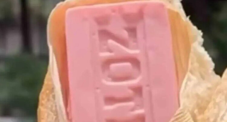 ¡Qué tamalZote! ¡Qué tamalZote!