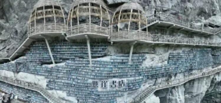 Cuando visitar la biblioteca es una actividad extrema