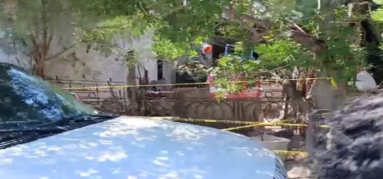Unos perros atacan y le quitan la  vida a un bebé de seis meses en Tamaulipas