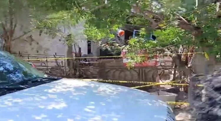 Unos perros atacan y le quitan la  vida a un bebé de seis meses en Tamaulipas