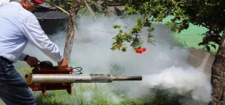 Seis personas pierden la vida por dengue en tres municipios de Tamaulipas