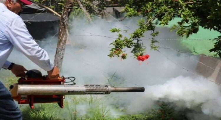 Seis personas pierden la vida por dengue en tres municipios de Tamaulipas Seis personas pierden la vida por dengue en tres municipios de Tamaulipas