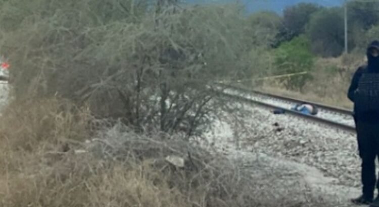 Encuentran restos humanos de una mujer en diversos puntos de Ciudad Victoria Encuentran restos humanos de una mujer en diversos puntos de Ciudad Victoria