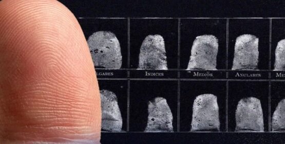 La fiscalía identifica a 581 personas no reconocidas en el estado de Tamaulipas